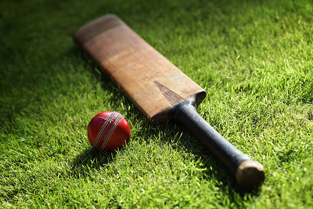 Bat & Ball Bash Cricket Fun Highlights