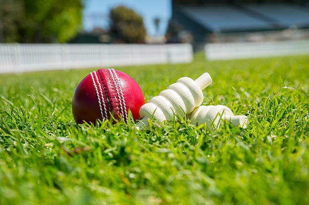 What's Included in Bat & Ball Bash Cricket Fun