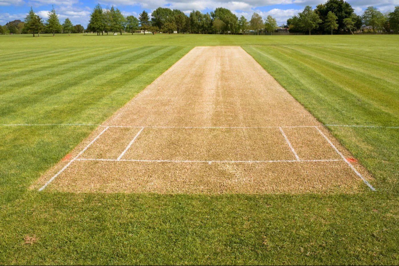 Bat & Ball Bash Cricket Fun at Veda Adventures