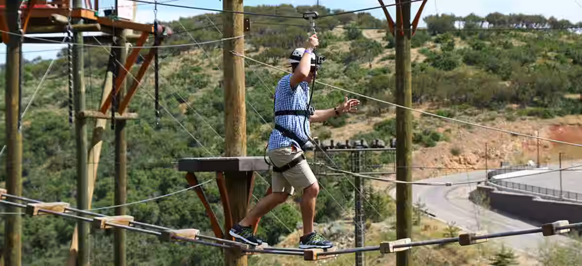 Rope Course Adventure Balance & Bravery Highlights