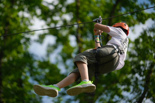 What's Included in Zipline Thrills Ride the Line